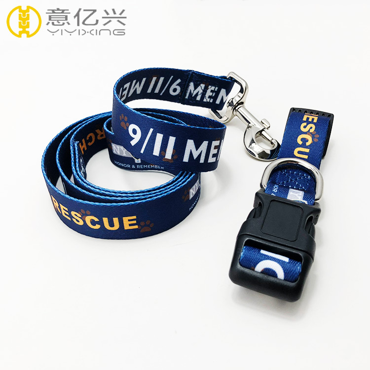 Pet collar and leash