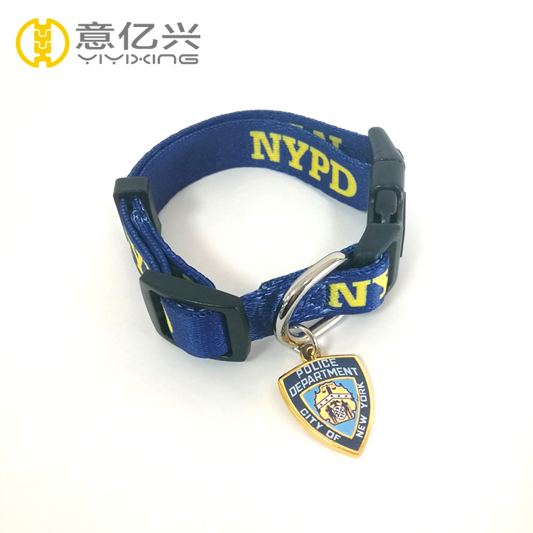 Pet collar and leash