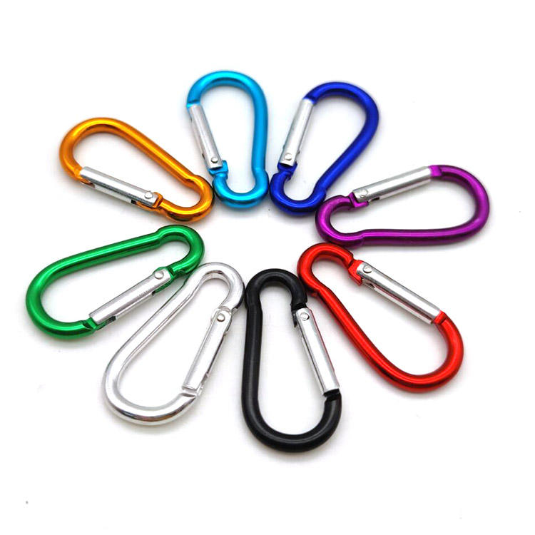 carabiner keyring
